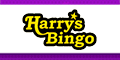 Harrys Bingo